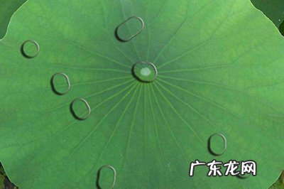 ps雨滴效果怎么做 PS水滴效果怎么做