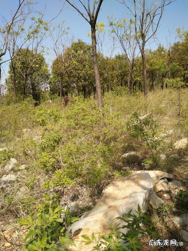 摆摊卖货能赚钱么?