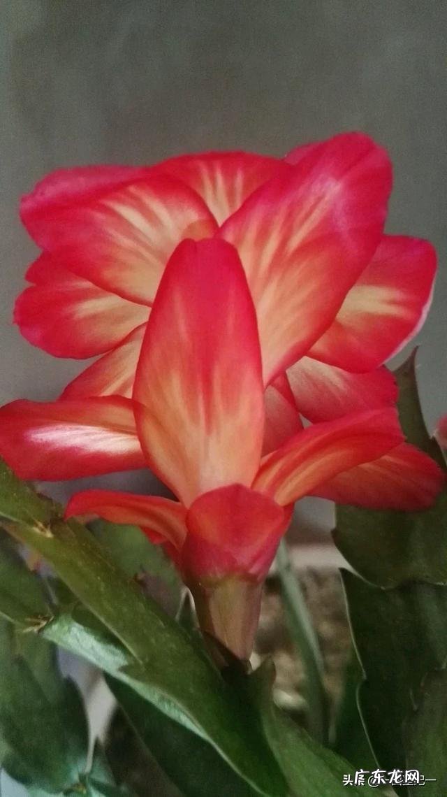 用什么办法才能弄到资金