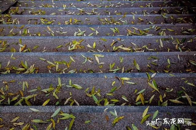 地摊卖书一天能赚多少 现在摆地摊能挣钱吗?摆地摊一年能挣多少钱