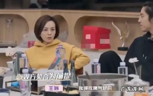 演员王琳的第二任老公 演员王琳的老公是谁