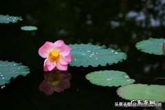 怎样摆摊赚钱？