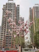 朋友圈突然变成三天可见 翻开朋友圈，发现越来越多的朋友利用朋友圈做起了生意。能挣钱吗