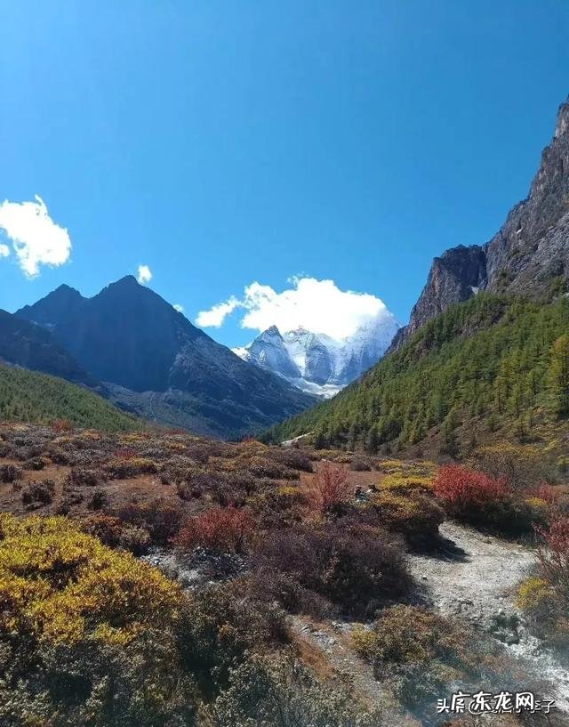 适合发朋友圈正能量短句 有哪些适合发到朋友圈里的小短句?早上吸引朋友圈的句子