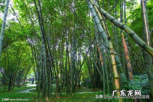 适合发朋友圈正能量短句 有哪些适合发到朋友圈里的小短句?早上吸引朋友圈的句子