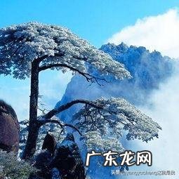 适合发朋友圈正能量短句 有哪些适合发到朋友圈里的小短句?早上吸引朋友圈的句子