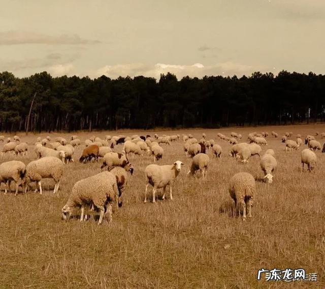 年赚10亿 如何赚快速赚到1亿元,怎么赚到10个亿