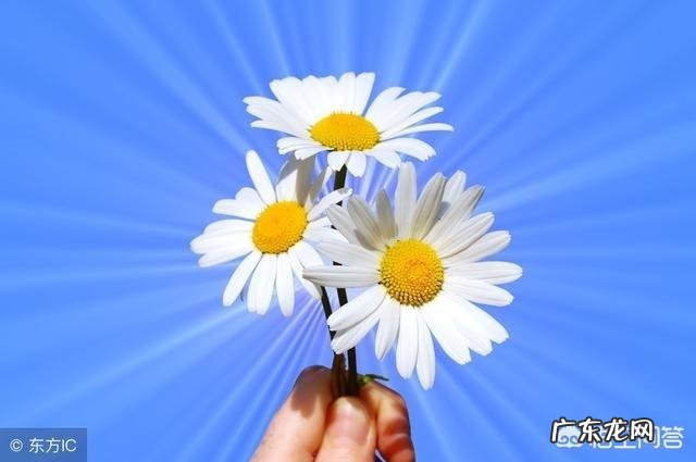 如果不是生活谁愿意 现实生活中,到底有没有愿意给老婆花钱的男人?愿意在现实中交个朋友吗