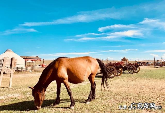 男人做什么工作最赚钱 男人该如何赚钱?男人学什么技术最赚钱