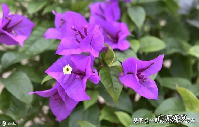 郭德纲说劝你大度的人 郭德纲老师在节目中总劝徒弟不要膨胀，那么郭老师本人膨胀过吗？郭德纲 我最烦劝我大度