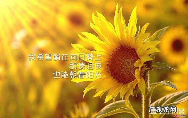 人在负债累累的时候该怎么做 如果你变得一无所有,甚至负债累累,你会做什么?如果负债累累该怎么做