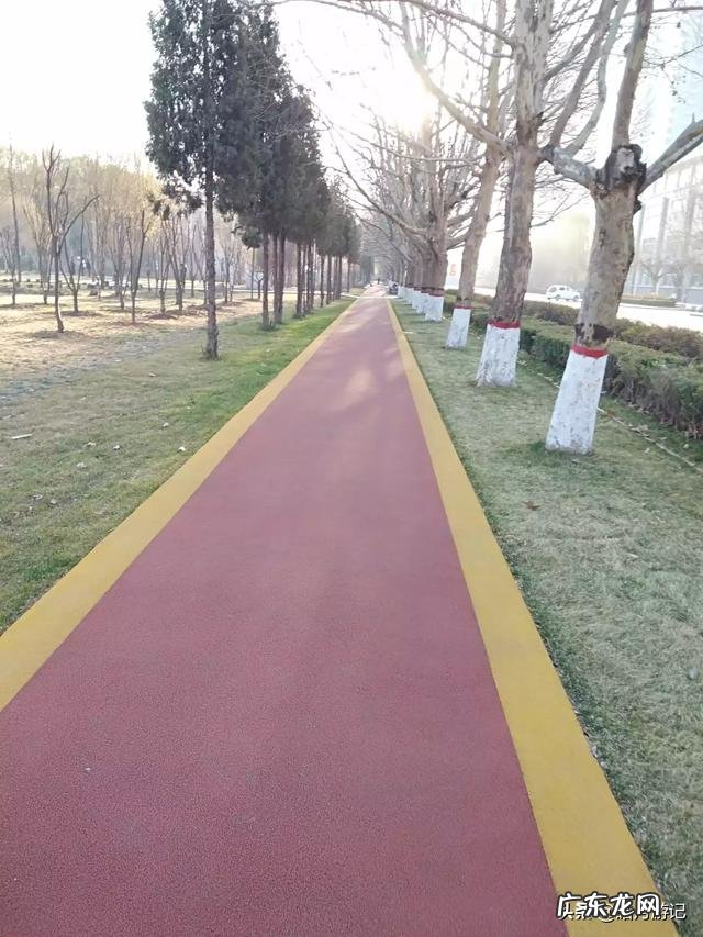 属牛人适合做什么生意 哪一个城市最适合发财？最适合白手起家的城市