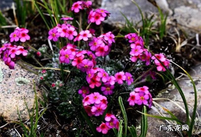 女生去上海闯荡容易吗 1500元去上海闯荡，能养活自己吗？35岁了去上海闯荡晚不晚