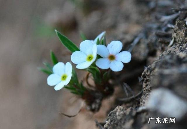 女生去上海闯荡容易吗 1500元去上海闯荡,能养活自己吗?35岁了去上海闯荡晚不晚
