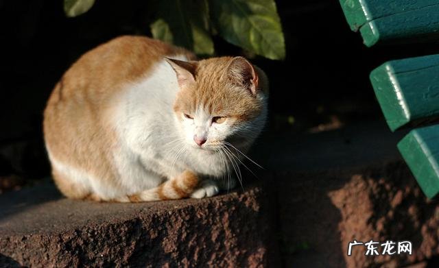 女生去上海闯荡容易吗 1500元去上海闯荡,能养活自己吗?35岁了去上海闯荡晚不晚