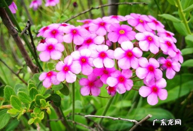 女生去上海闯荡容易吗 1500元去上海闯荡，能养活自己吗？35岁了去上海闯荡晚不晚