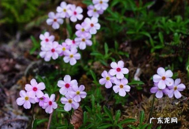 女生去上海闯荡容易吗 1500元去上海闯荡，能养活自己吗？35岁了去上海闯荡晚不晚