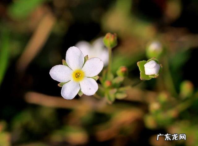 女生去上海闯荡容易吗 1500元去上海闯荡，能养活自己吗？35岁了去上海闯荡晚不晚