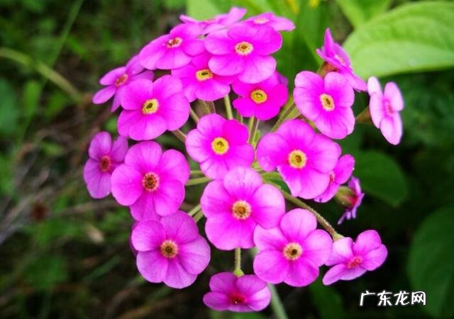 女生去上海闯荡容易吗 1500元去上海闯荡，能养活自己吗？35岁了去上海闯荡晚不晚