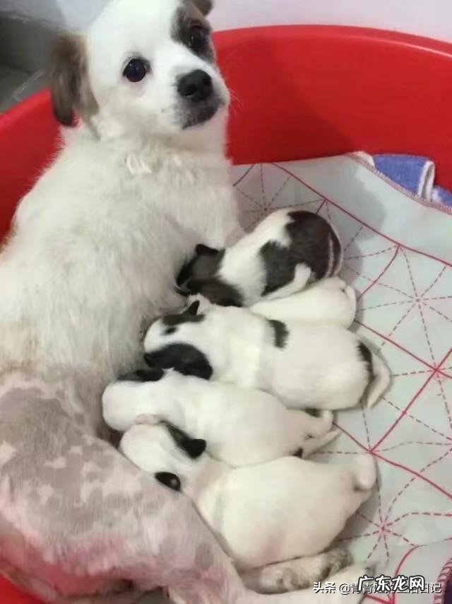 现在失业的人多吗 失业三个月了,大家失业都在家干嘛?频繁失业的人该干嘛