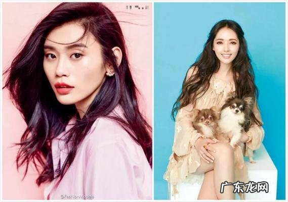 向左郭碧婷离婚吗 郭碧婷离婚