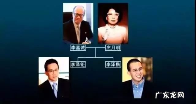 向左郭碧婷离婚吗 郭碧婷离婚