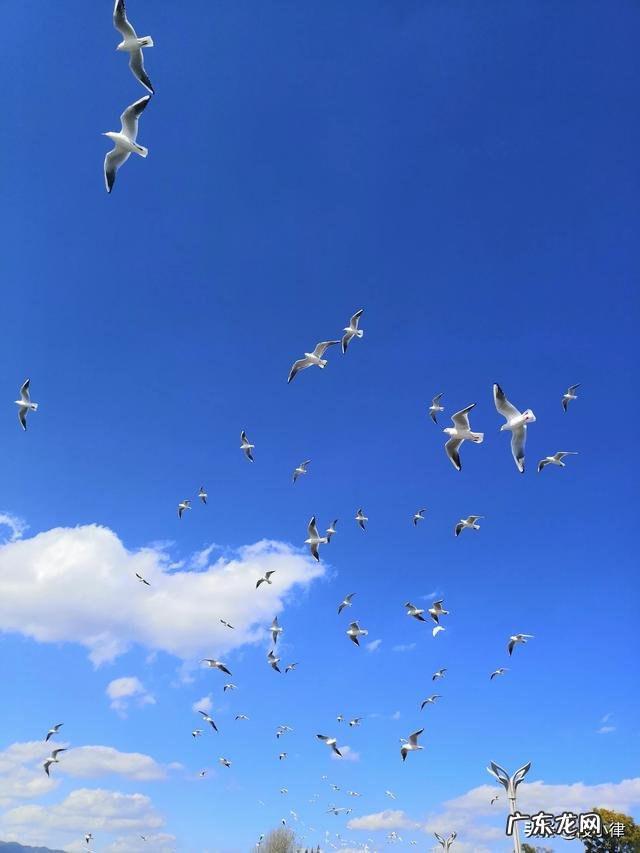 只想挣钱不想谈恋爱 为什么很多女人认为赚钱比谈恋爱重要？不谈恋爱只想挣钱的人