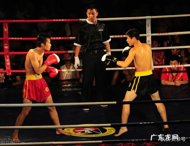 我是一个小木匠 小木匠体格健壮有劳动工具拼死一搏能战胜法子英的为啥罹难？天生体格健壮的原因