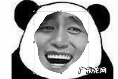 PS怎么做熊猫头表情包