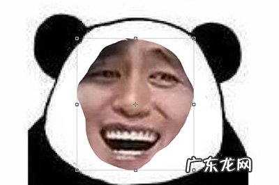 PS怎么做熊猫头表情包