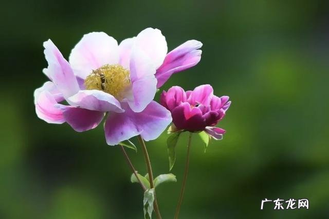 自媒体真实收入 除了头条,中国有哪些自媒体平台收入可观呢?趣头条发文章收入怎样