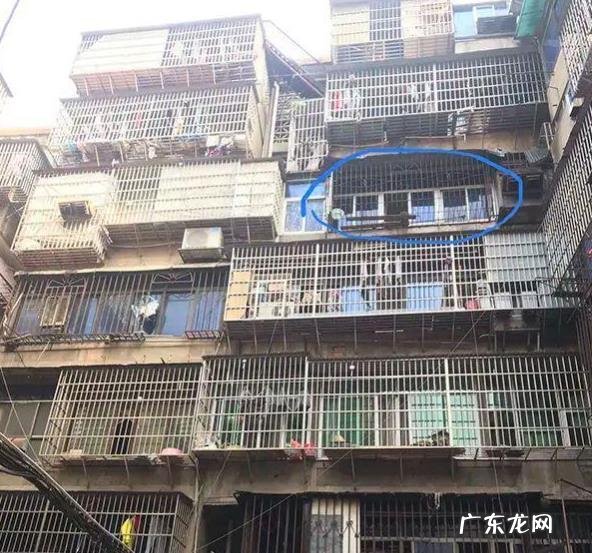 劳荣枝案20年来生活 法子英与劳荣枝杀人后曾经回过老家,是不是细思极恐?劳荣枝案全部细节