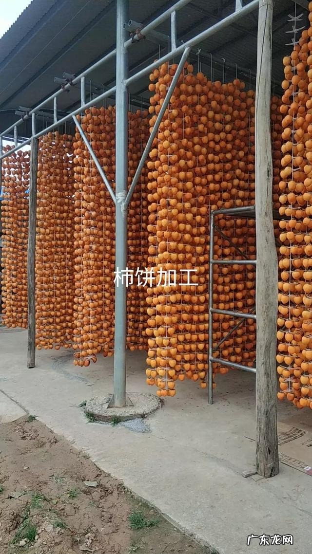 当前发展什么品种果树最赚钱?