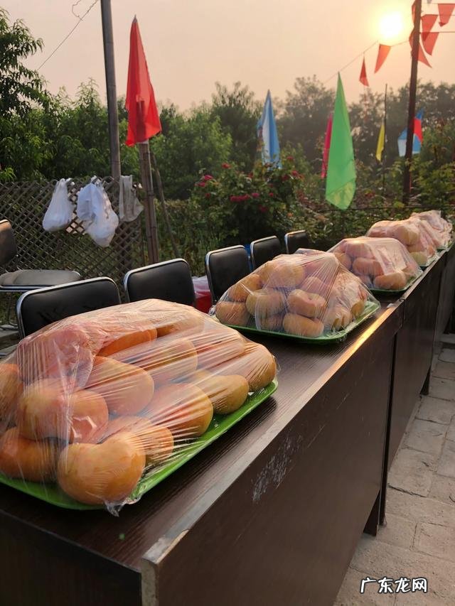 当前发展什么品种果树最赚钱?