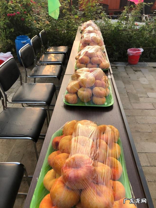 当前发展什么品种果树最赚钱?