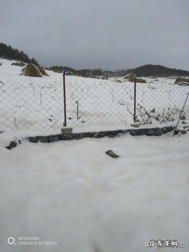 农村包山前景如何 现在包山种树挣钱吗?种什么树收益比较好?广西包山种树政府补贴