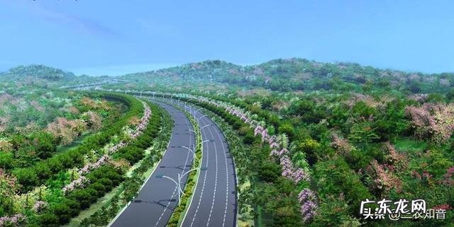 农村包山前景如何 现在包山种树挣钱吗？种什么树收益比较好？广西包山种树政府补贴