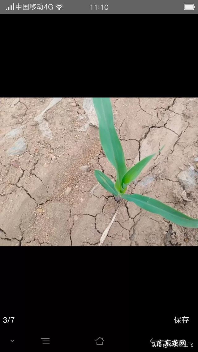 不起眼的暴利小生意 什么生意在农村比较挣钱?76个偏门小生意