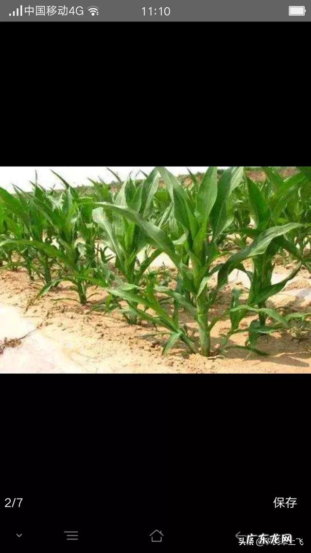 不起眼的暴利小生意 什么生意在农村比较挣钱?76个偏门小生意