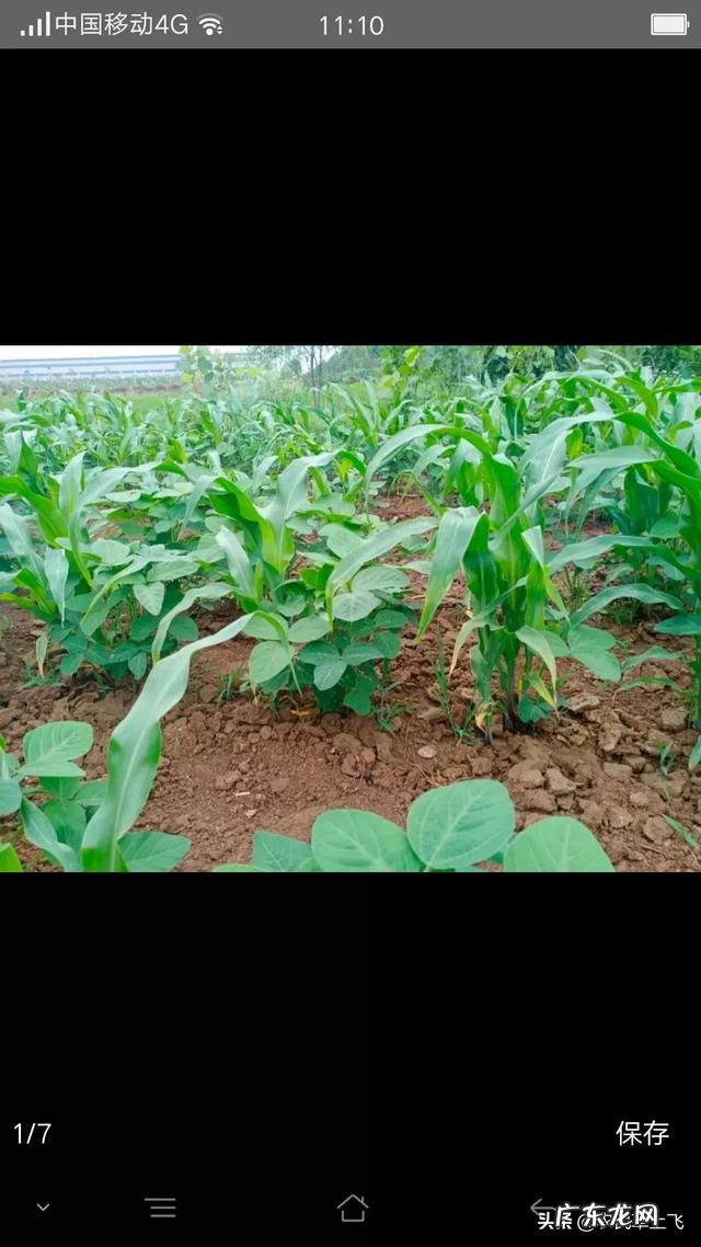 不起眼的暴利小生意 什么生意在农村比较挣钱?76个偏门小生意