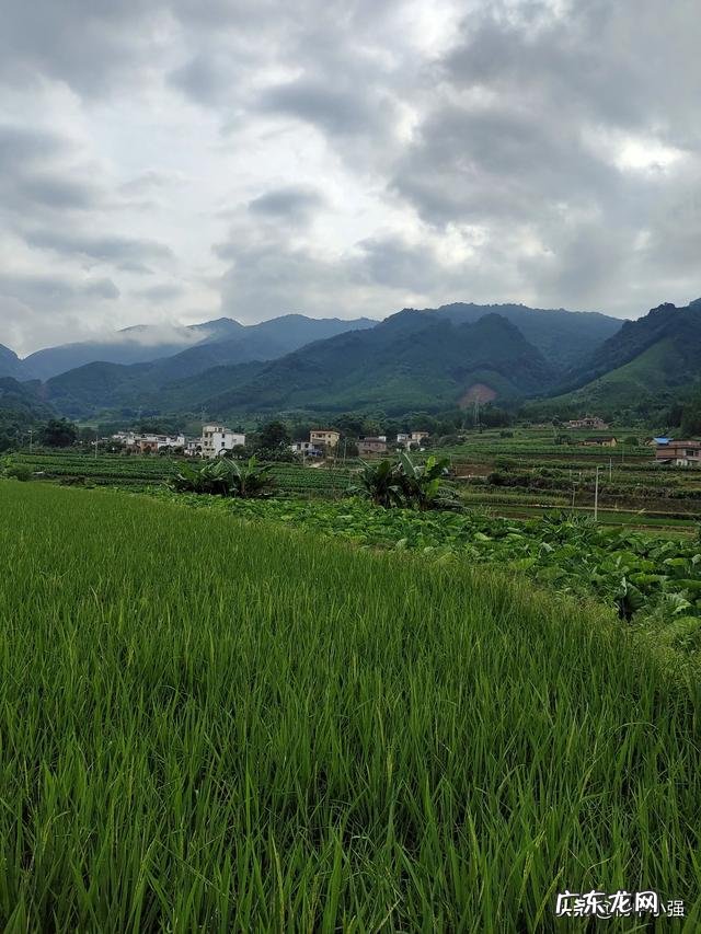 不起眼的暴利小生意 什么生意在农村比较挣钱?76个偏门小生意