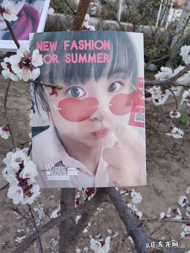 做电影解说哪个自媒体平台最赚钱?