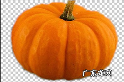 ps怎么用钢笔抠图放到另一张图片上 PS怎么用钢笔抠图