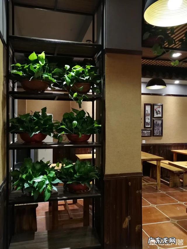 现在夫妻两个做餐饮,有什么好赚钱的餐饮小吃项目推荐的,快餐怎么做才赚钱?