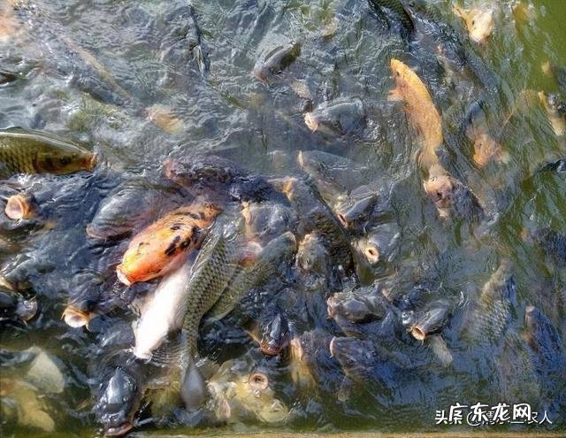 现在农村干什么收入最高,打工收入最高的城市?