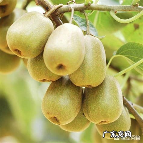 现在农村干什么收入最高,打工收入最高的城市?