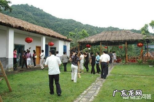 现在农村干什么收入最高,打工收入最高的城市?