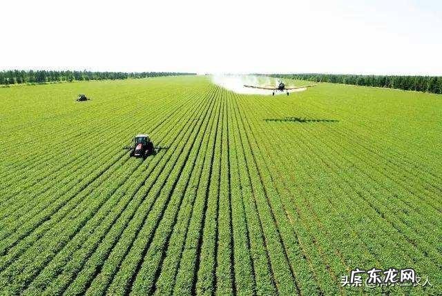 现在农村干什么收入最高,打工收入最高的城市?