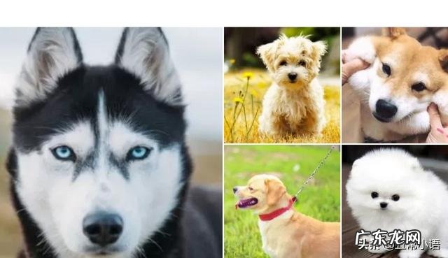 现在农村干什么收入最高,打工收入最高的城市?