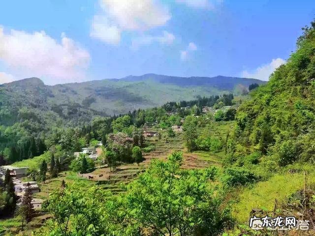 现在农村干什么收入最高,打工收入最高的城市?